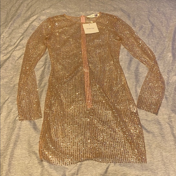 The Naked Tiger Dresses & Skirts - The Naked Tiger IGGY DRESS Long Sleeve Sheer Sz XS Light Pink NWT